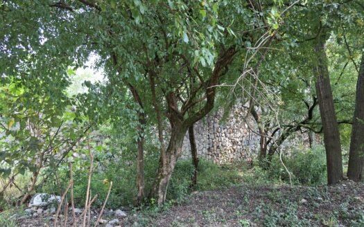 Terreno Campestre en VENTA en Los Cristales, Mty, Carretera Nacional 745 m2