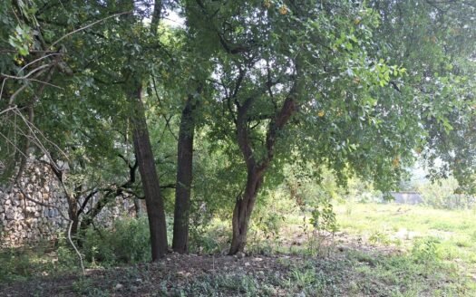 Terreno Campestre en VENTA en Los Cristales, Mty, Carretera Nacional 745 m2
